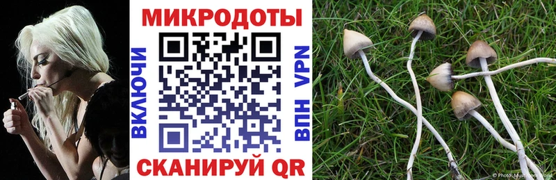 kraken сайт  Ногинск  Галлюциногенные грибы прущие грибы 